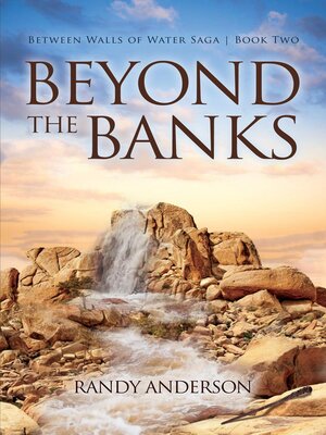 cover image of Beyond the Banks